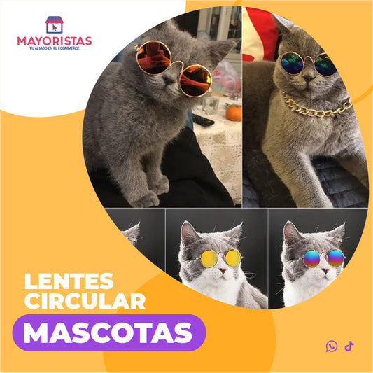 LENTES PARA MASCOTA